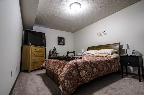 a bedroom with a bed and a television