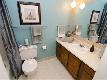 581 Lake Forest Lane 1-3 Beds Apartment for Rent - Photo Gallery 5