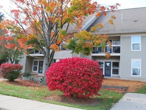 Pine Lane Estates Apartments Exterior