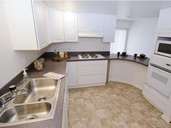1275 Oakridge Ave. 2 Beds Apartment, Home, Student for Rent - Photo Gallery 3
