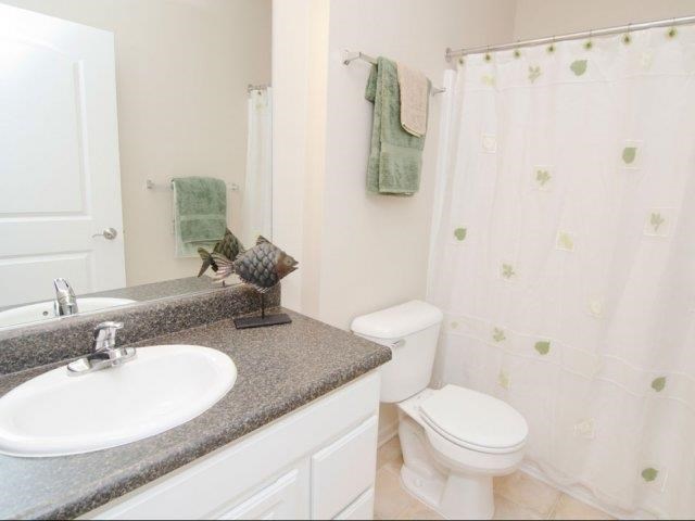 a bathroom with a sink and a toilet