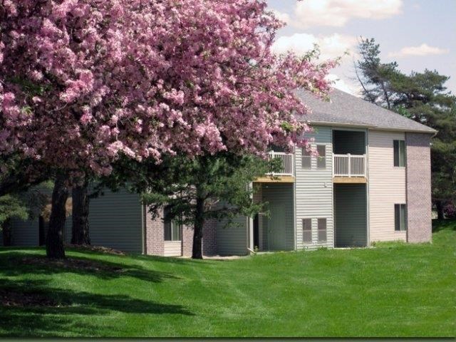 a house with a pink flowering tree in front of it