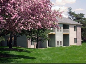 829 Montevideo Drive 1-3 Beds Apartment for Rent - Photo Gallery 4