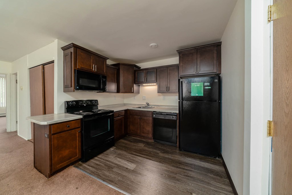 Spacious Kitchen in East Lansing Apartments near Michigan State University | Albert Apartments