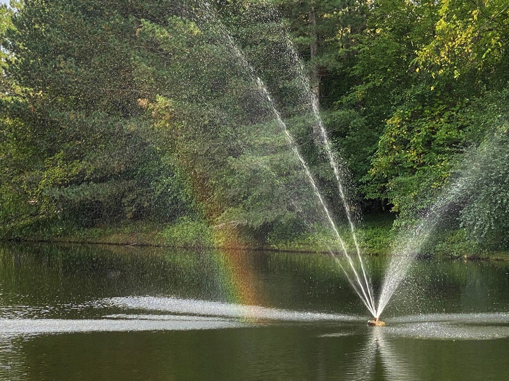 Water feature at Arbor Glen Apartments in East Lansing, MI near Michigan State University.