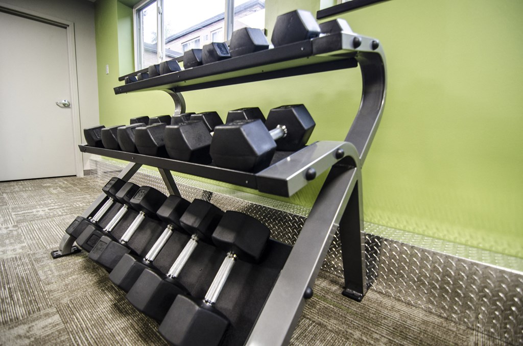 the weights rack in our state of the art gym