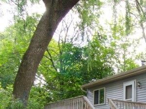 East Lansing Houses For Rent | Photos