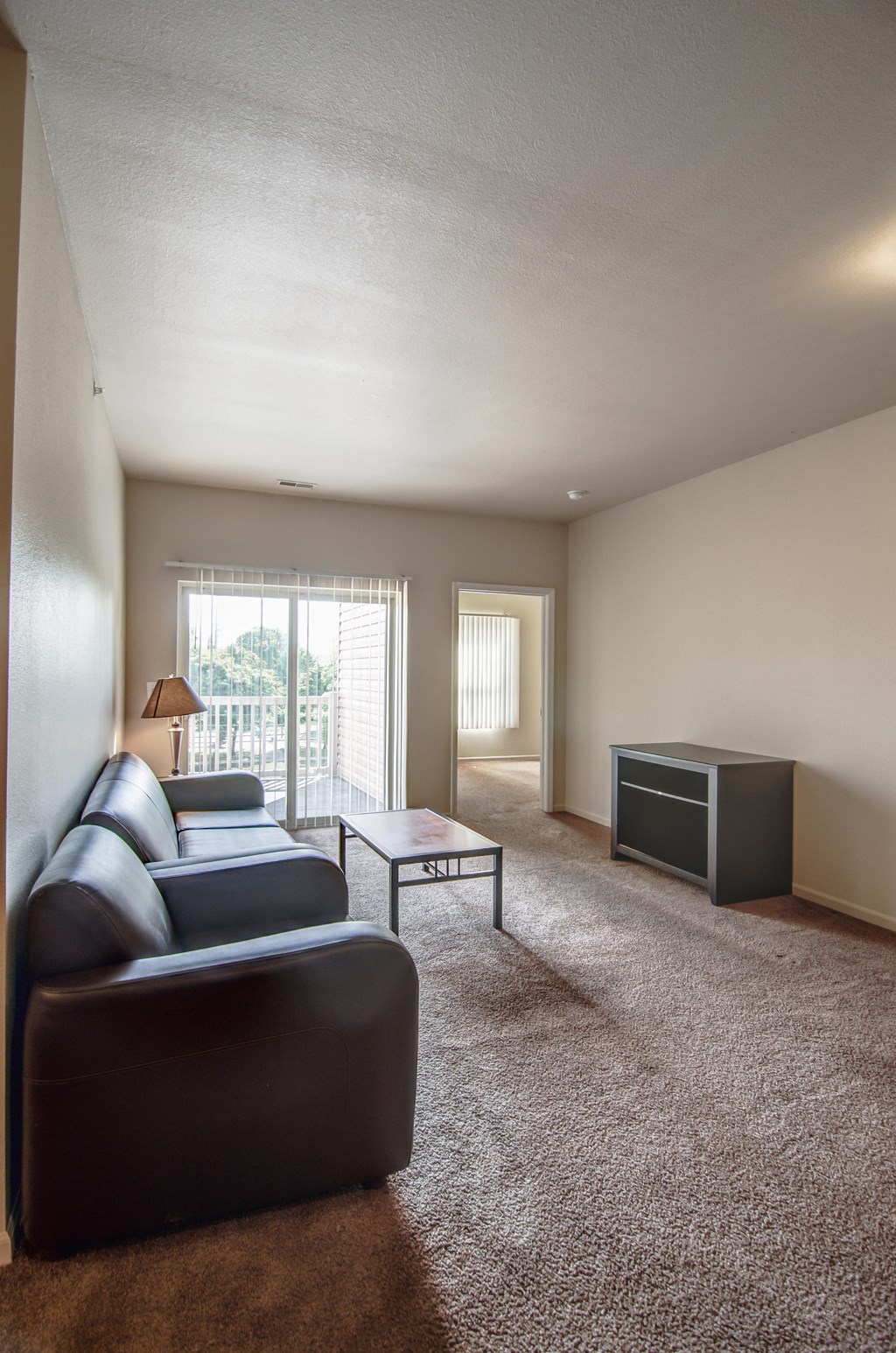 Spacious Living room in East Lansing Apartments near Michigan State University | River Walk