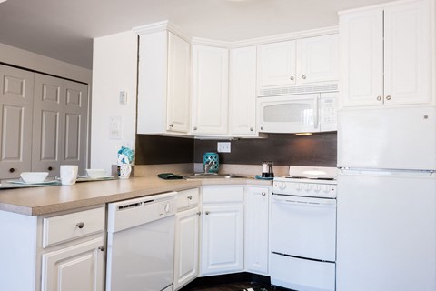 Spacious Kitchen in East Lansing Apartments near Michigan State University | Studio House