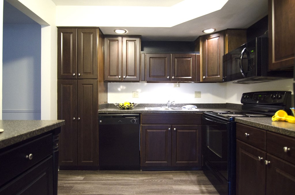 Spacious Kitchen in East Lansing Apartments near Michigan State University | The Pines