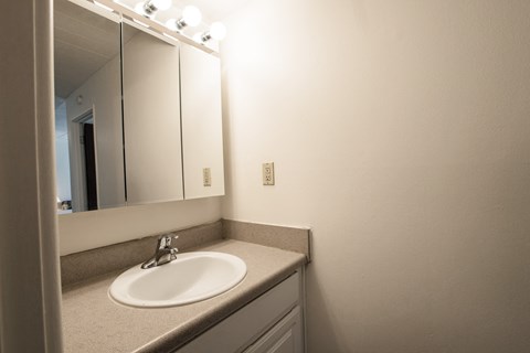Spacious Bathroom in East Lansing Apartments near Michigan State University | Woodmere