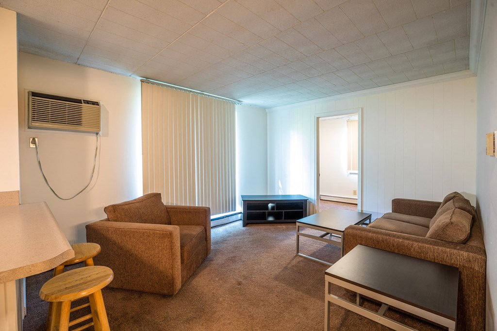 Spacious Living room in East Lansing Apartments near Michigan State University | Woodmere