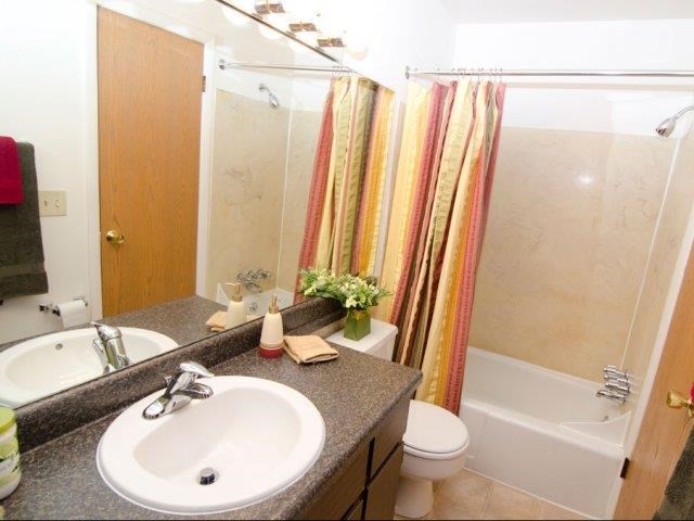 a bathroom with a sink and a toilet and a shower