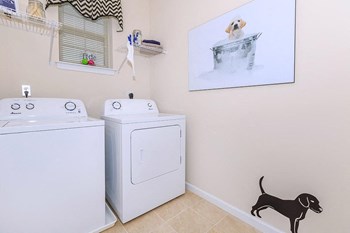 23 James P Kelly Way 1-2 Beds Apartment for Rent - Photo Gallery 6