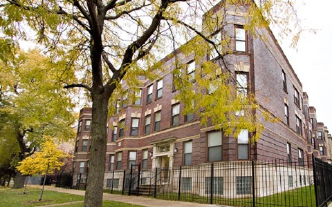 A tree with yellow leaves is in front of a red brick building.