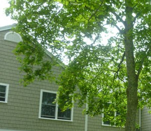 Rock Harbor Village Apartments In Orleans Ma