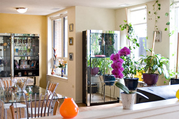 A living room with a glass cabinet and a dining table.