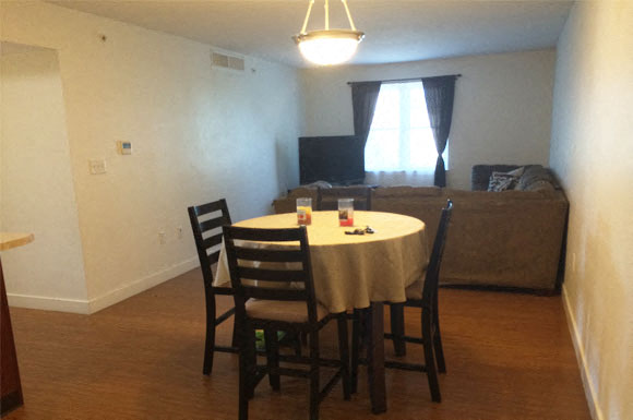 a living room with a dining table and a couch