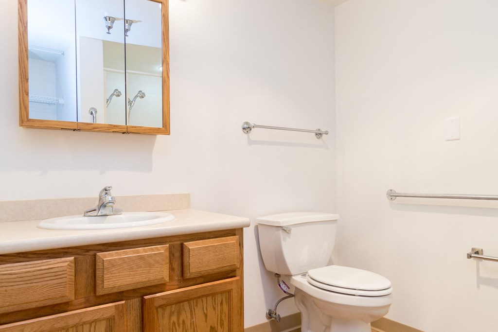 a bathroom with a toilet and a sink and a mirror