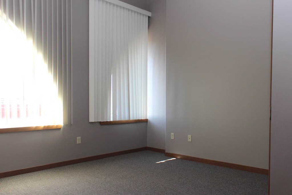 a room with two windows with white blinds and a carpet