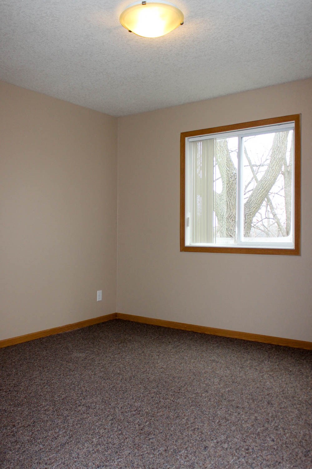 a empty room with a window and a carpet