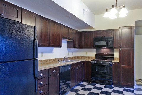 a kitchen with black appliances and a checkered floor