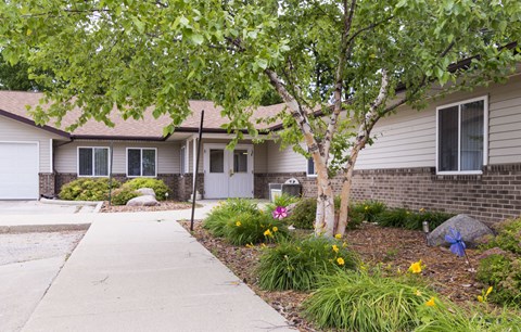 a white house with a tree and a sidewalk in front of it