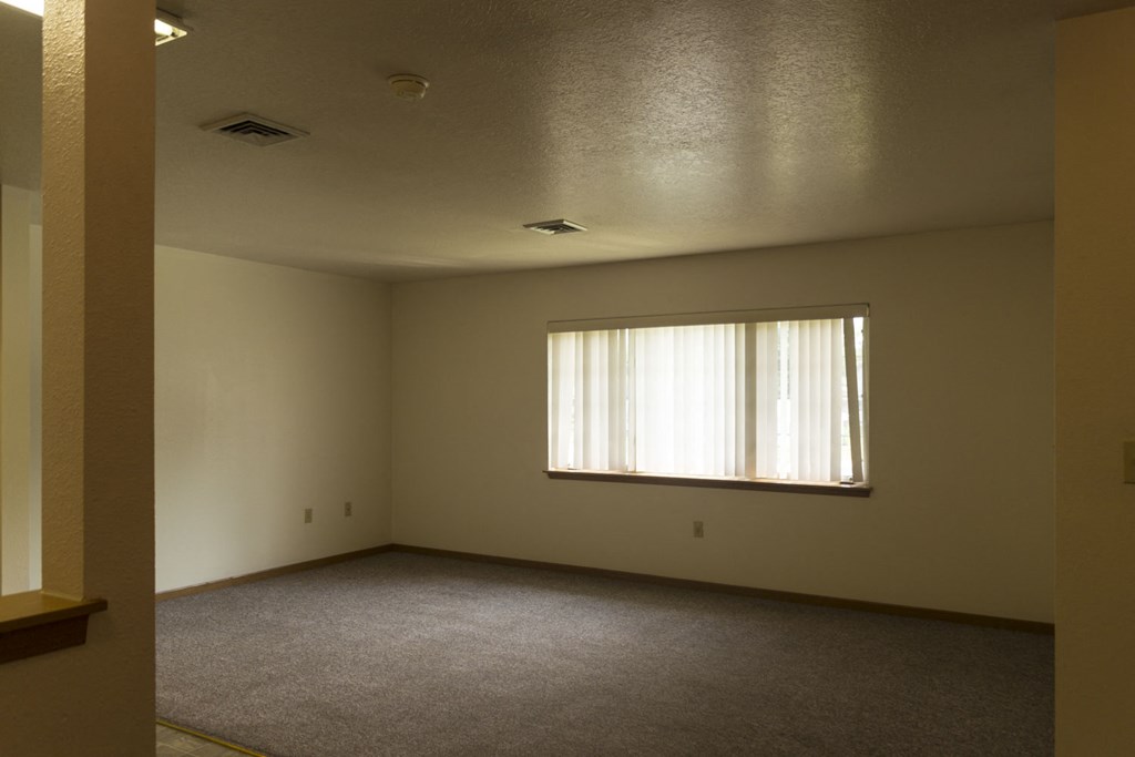 an empty room with a window and a carpeted floor