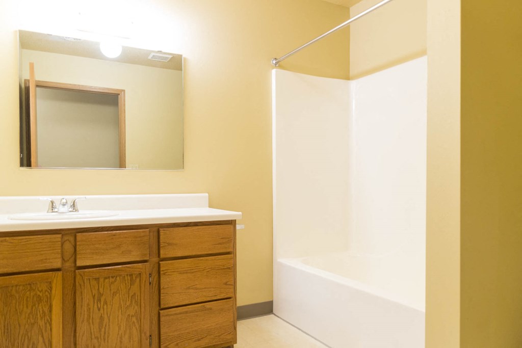 a bathroom with a sink and a shower and a mirror