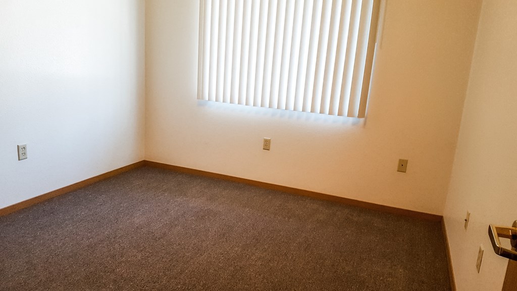 an empty room with a window and a carpet