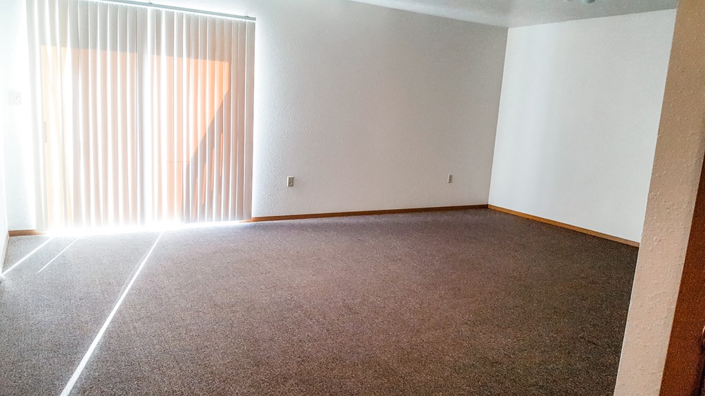 a room with a carpet and a window