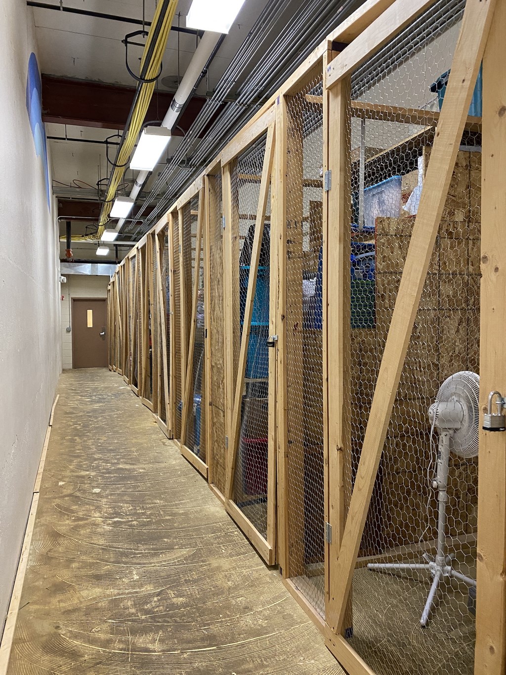 a long hallway filled with cages in a building