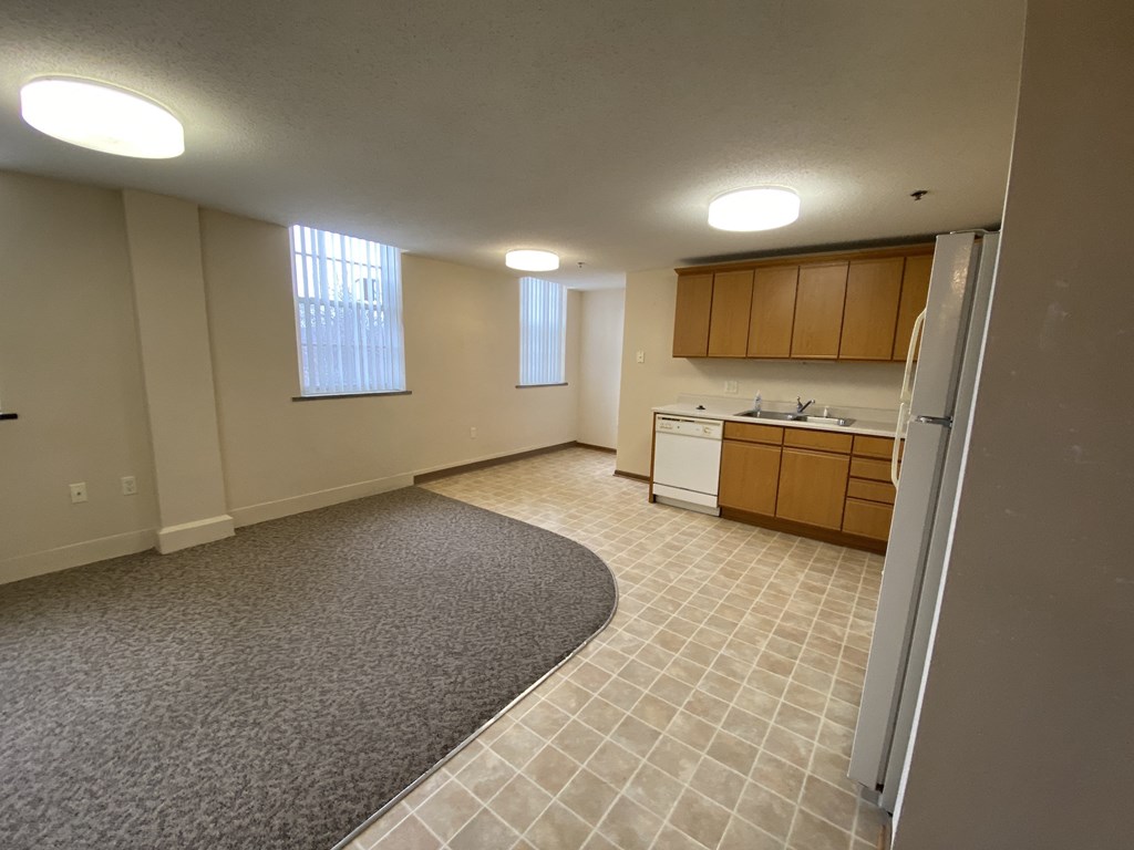 an empty kitchen and living room with a carpeted floor and a sink and counter