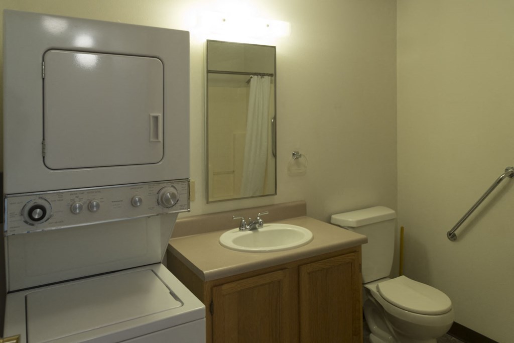 a bathroom with a sink and a toilet and a mirror