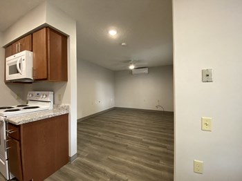503 E 19th St 1 Bed Apartment, Affordable for Rent - Photo Gallery 5