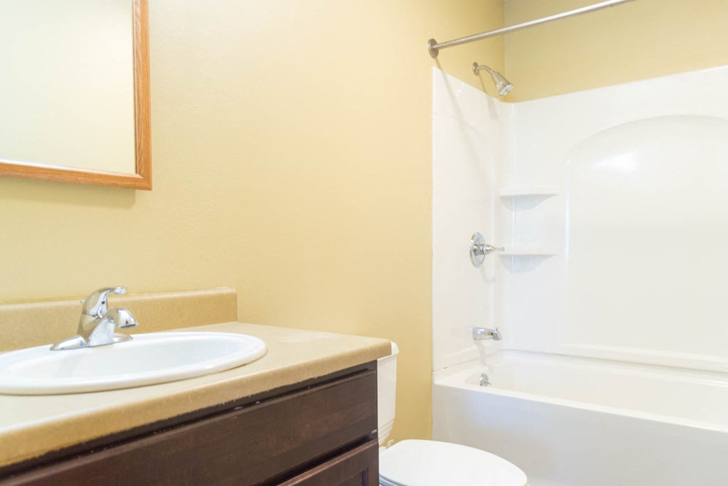 a bathroom with a sink and a shower and a toilet