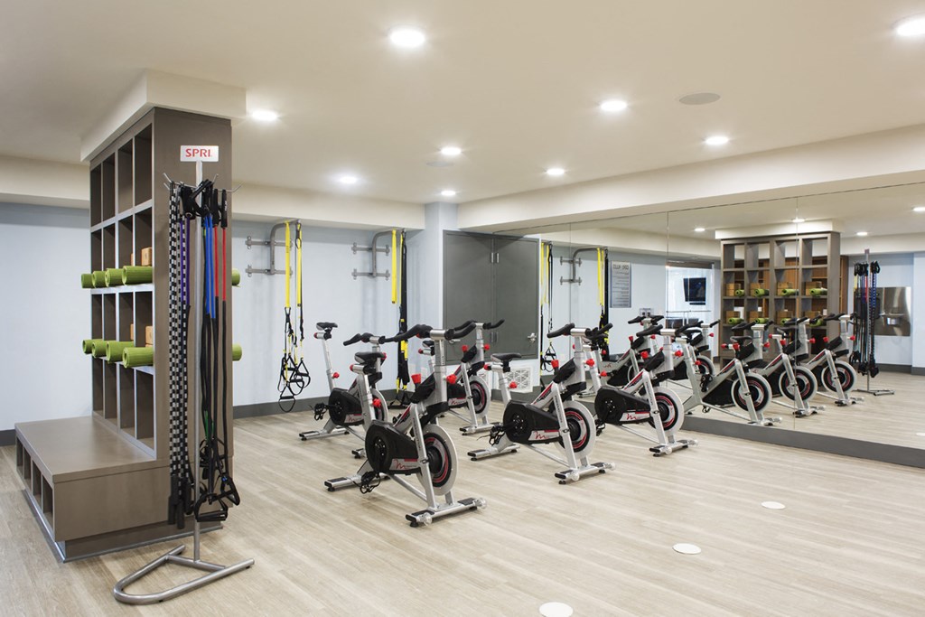 a row of exercise bikes in a gym