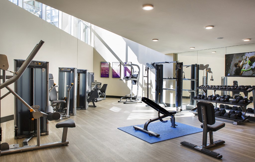 a gym with weights and other exercise equipment