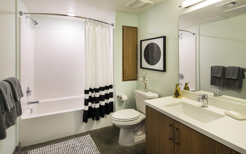 a bathroom with a shower toilet and sink
