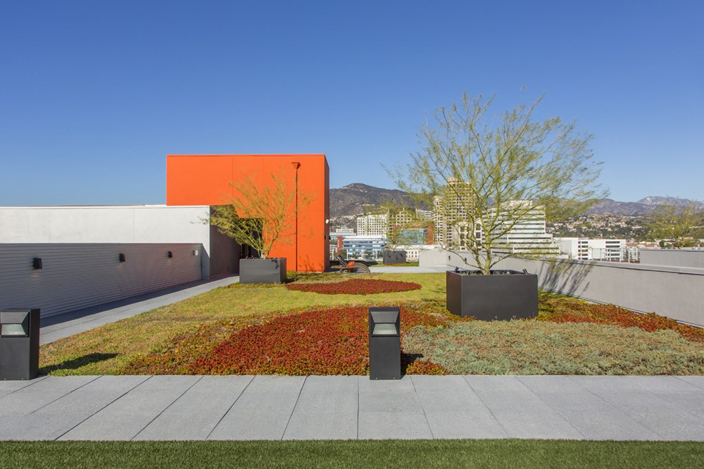 a garden on the roof of a house with a city in the background
