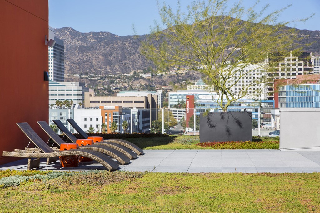 a row of lounge chairs on a sidewalk with a city in the background