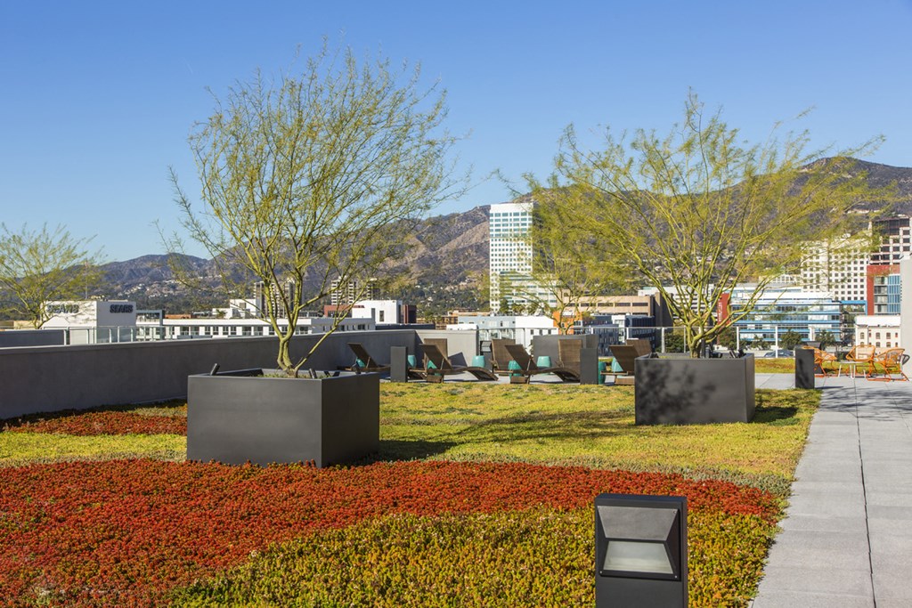 a park with grass and trees and a city in the background