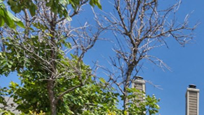 Country Club Villas Apartments Amarillo Tx Country Club Villas Apartments Amarillo Tx
