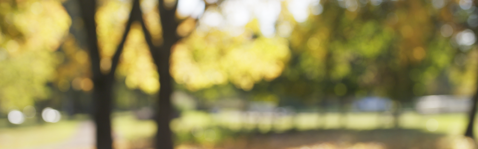 Map And Directions To Medicine Lake Apartments In Plymouth Mn