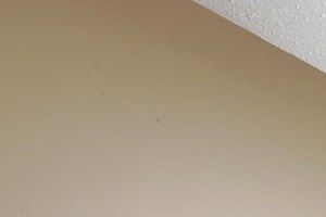 Willow Pond Apartments In Burnsville Mn