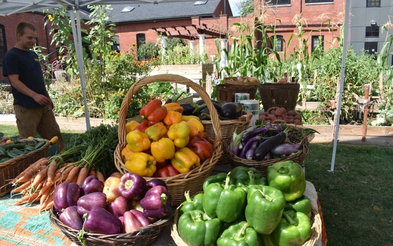 a variety of vegetables on display at a farmer s market