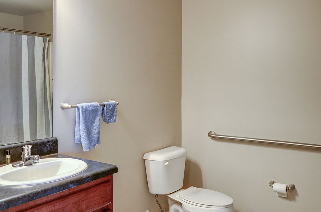a bathroom with a toilet sink and a mirror