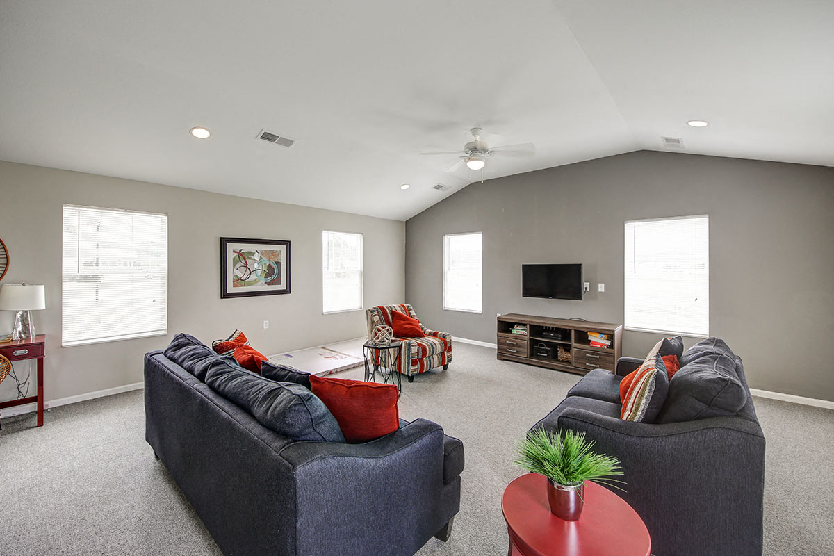 a living room with couches and a tv