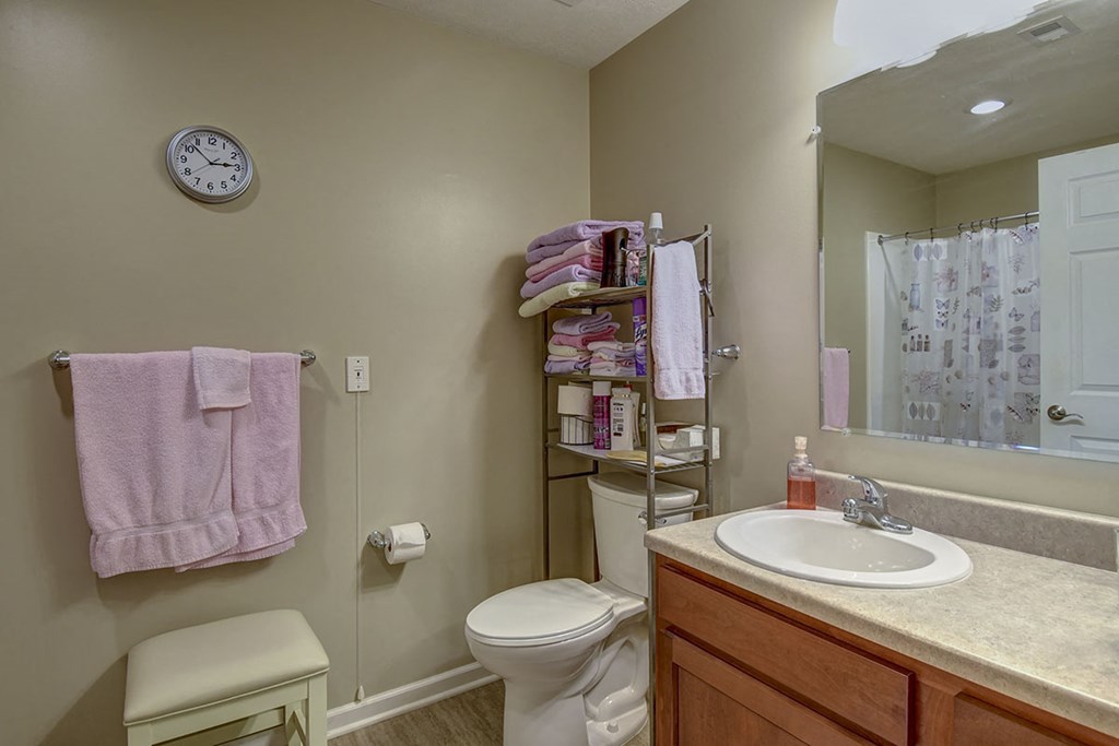 a bathroom with a sink toilet and a mirror