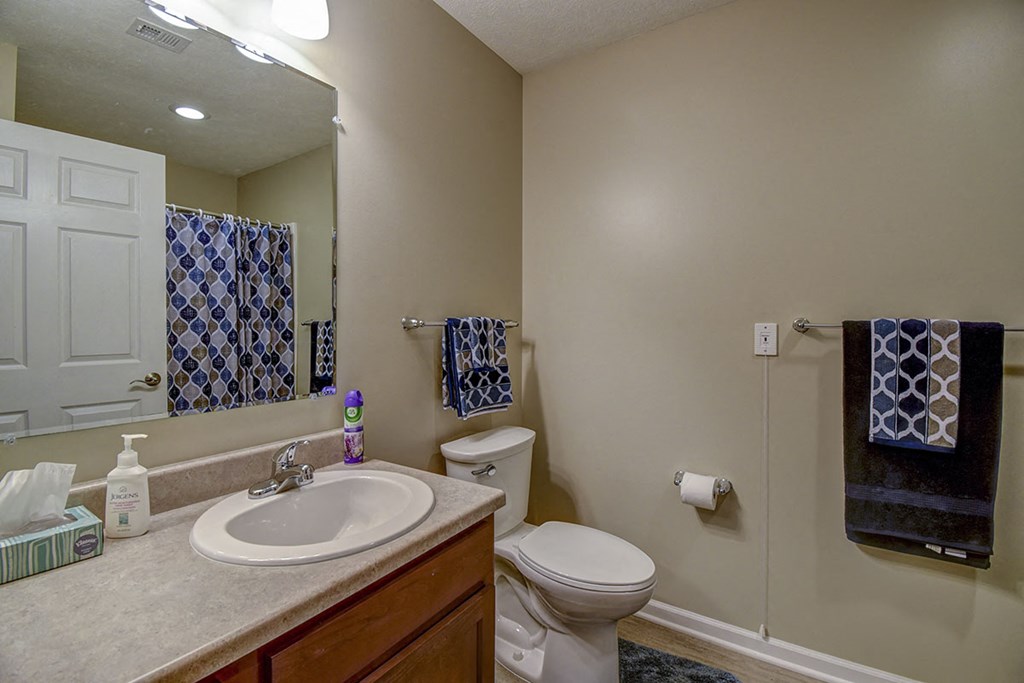 a bathroom with a sink toilet and a mirror